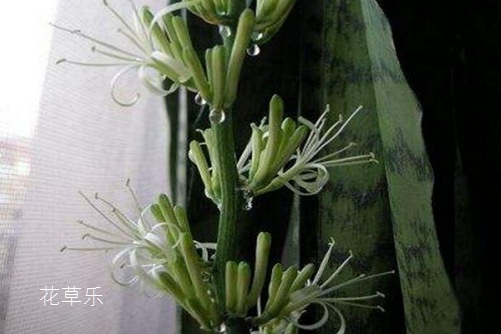 薏米和禁忌国产午夜理论片不卡在线观看，揭示摄影艺术的另一面