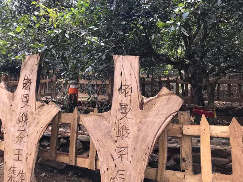 摄影长焦镜头在线观看精品国产福利片100，捕捉远方的魔法，让瞬间永恒